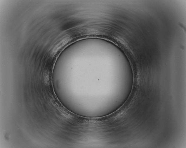 X0000103440873200809191722