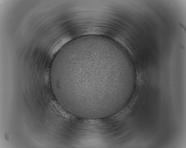 X0000103440874200809191722