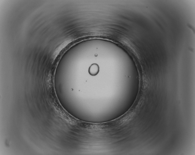 X0000103440875200809191722