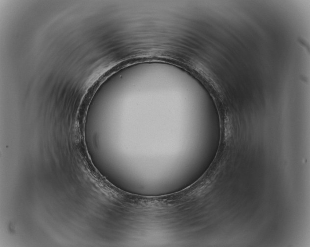 X0000103440876200809191722