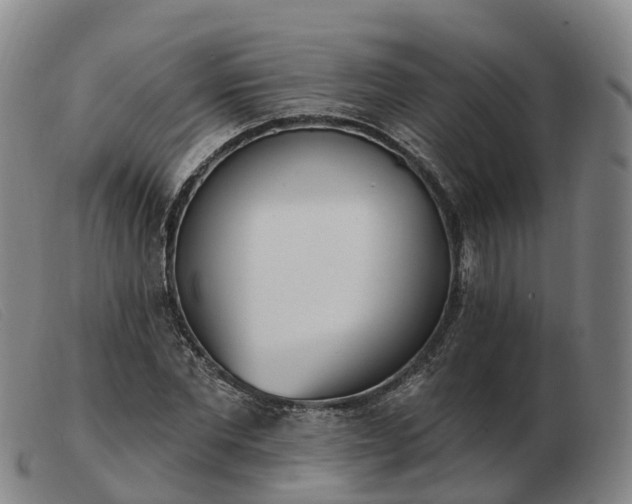 X0000103440877200809191722