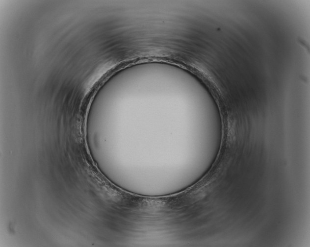 X0000103440878200809191722