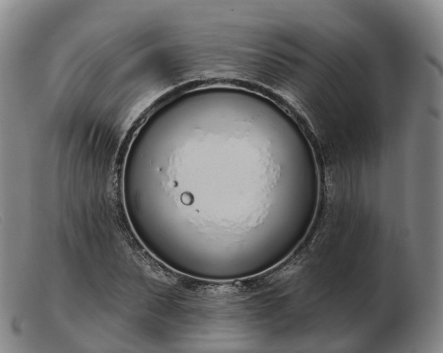 X0000103440879200809191722