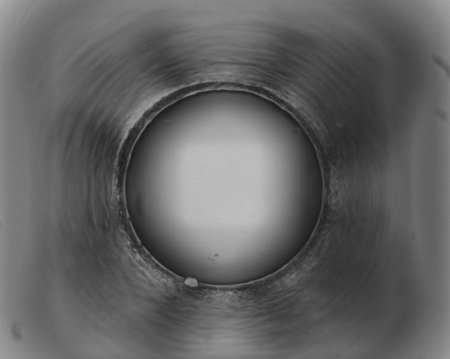 X0000103440880200809191722