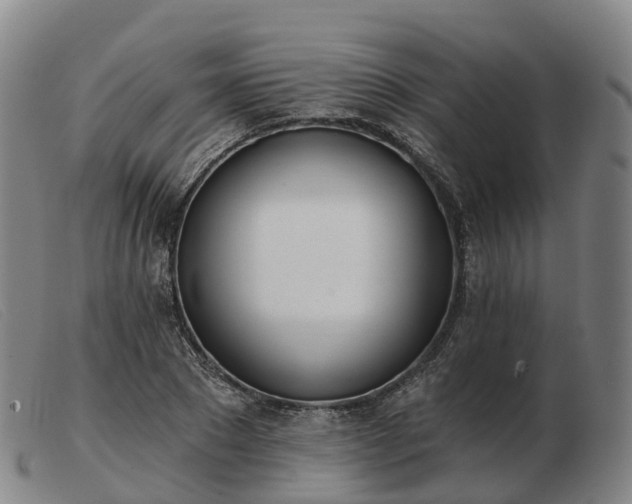 X0000103440881200809191722