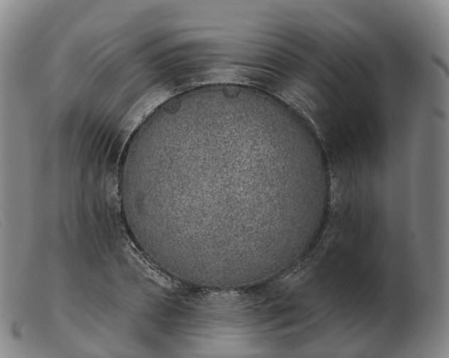 X0000103440882200809191722
