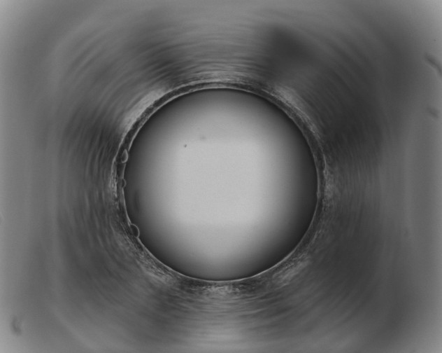 X0000103440883200809191722