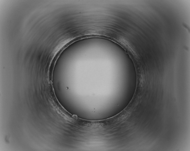 X0000103440884200809191722