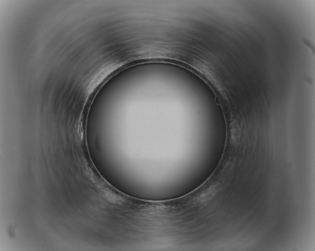 X0000103440885200809191722