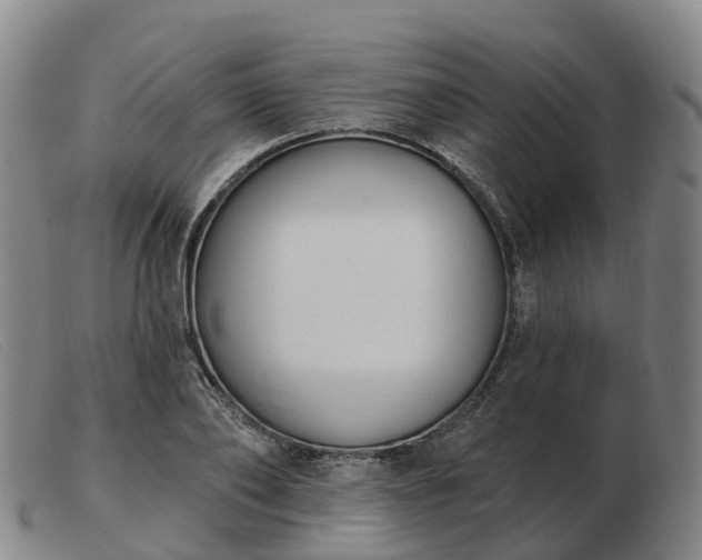 X0000103440886200809191722