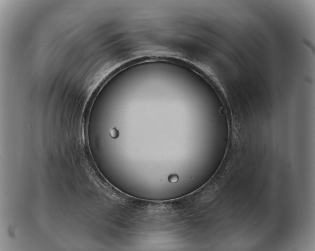 X0000103440887200809191722