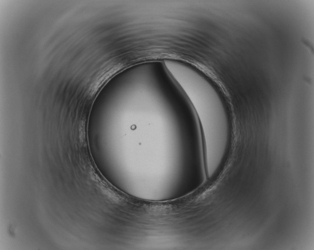 X0000103440889200809191722