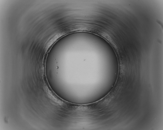 X0000103440890200809191722