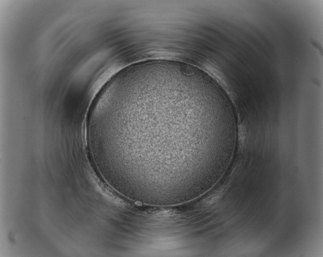 X0000103440891200809191722
