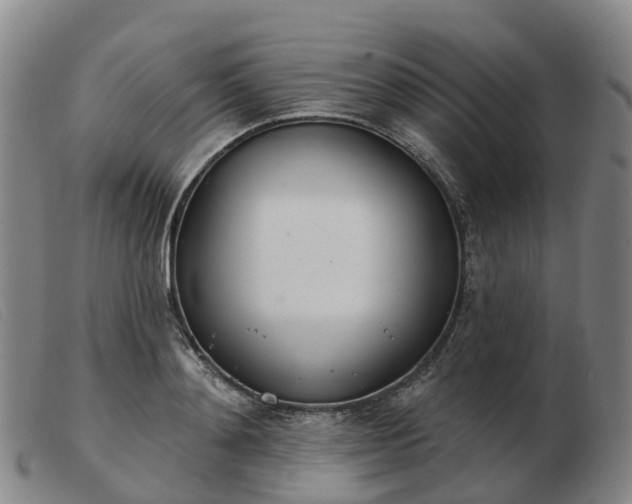 X0000103440892200809191722