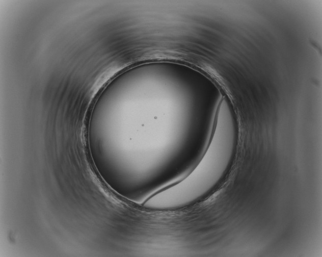 X0000103440893200809191722
