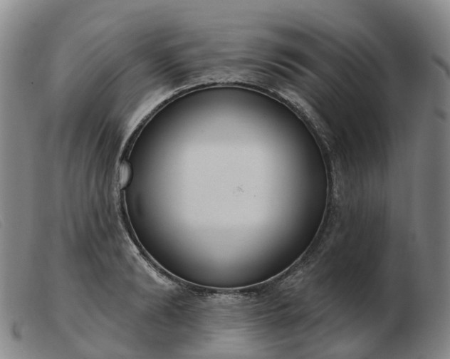 X0000103440894200809191722