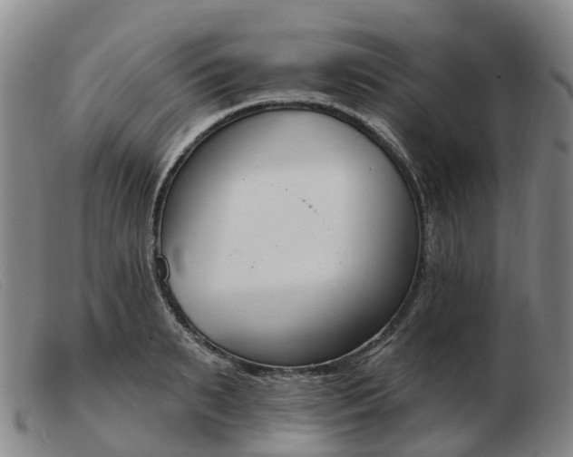 X0000103440895200809191722