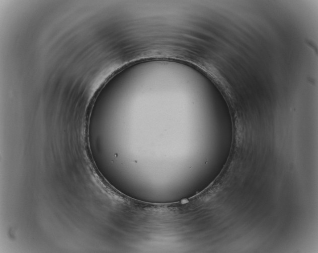 X0000103440896200809191722