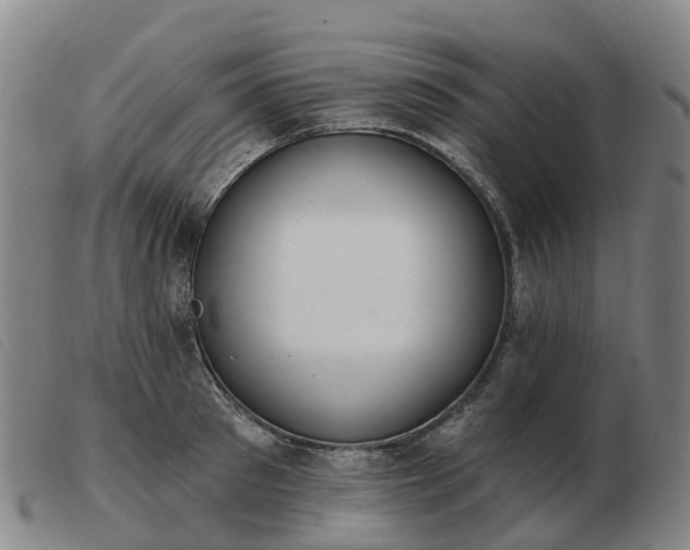 X0000103440897200809191722