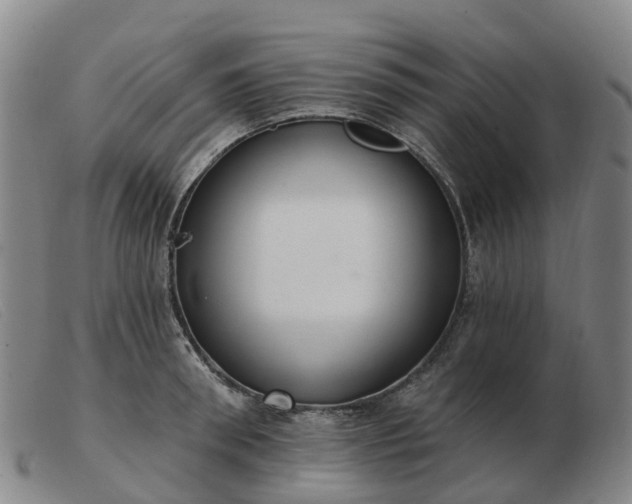 X0000103440898200809191722