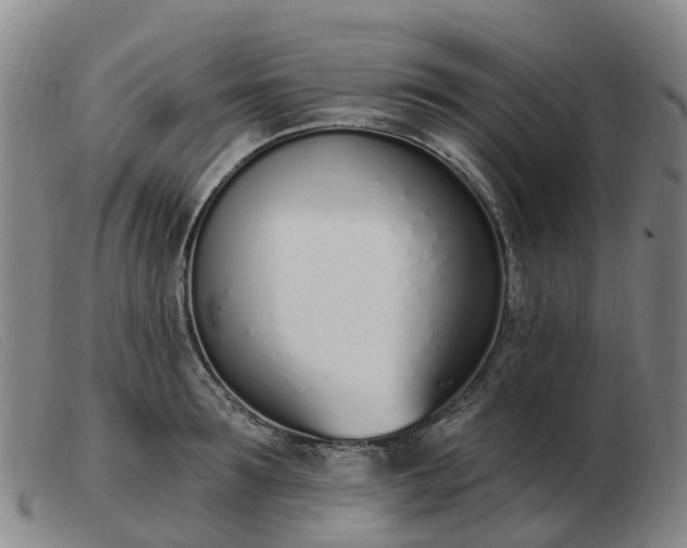 X0000103440899200809191722
