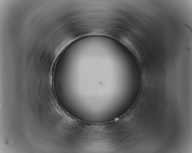 X0000103440900200809191722