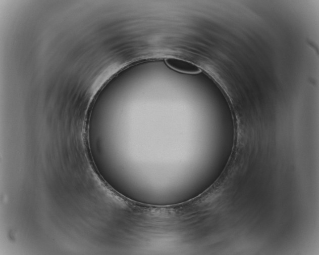 X0000103440901200809191722