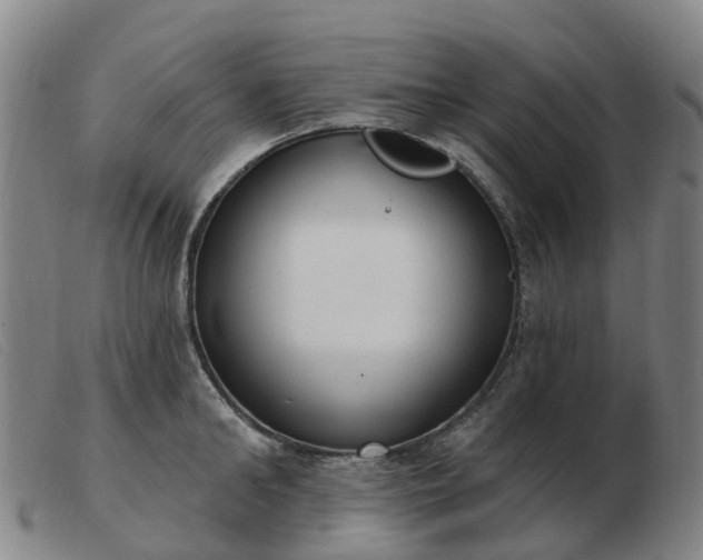 X0000103440902200809191722