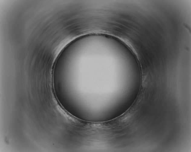 X0000103440903200809191722