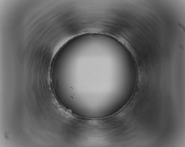X0000103440904200809191722