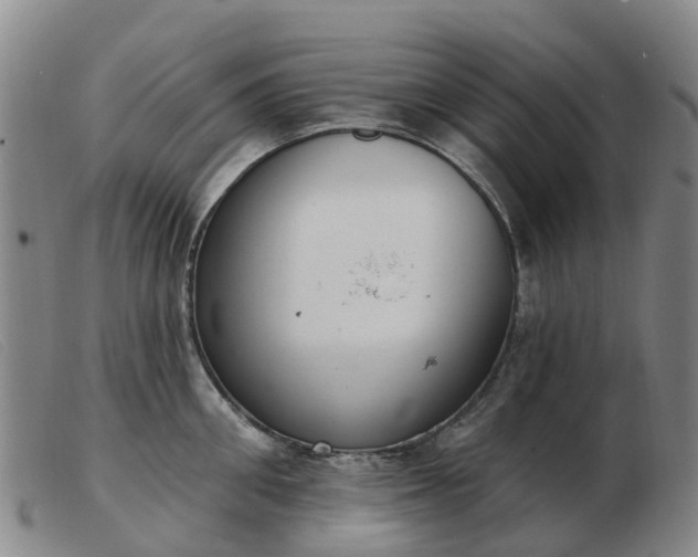X0000103440906200809191722