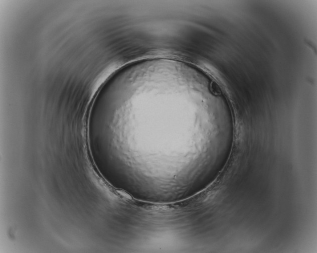 X0000103440907200809191722
