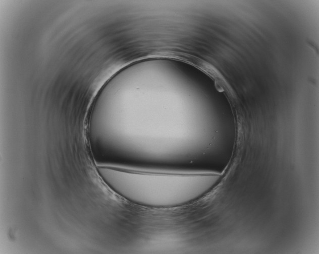 X0000103440908200809191722