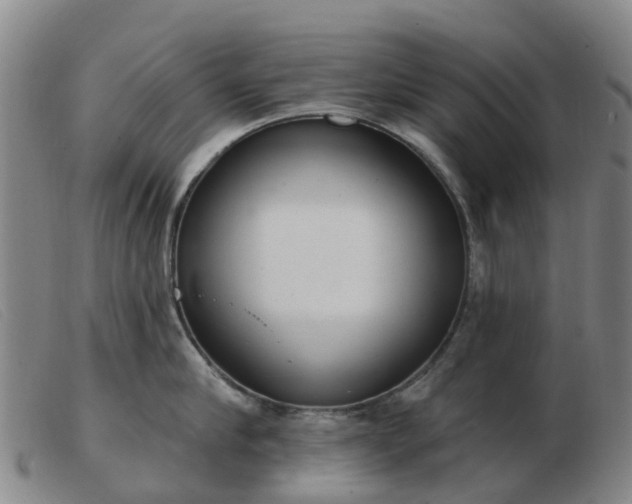 X0000103440910200809191722