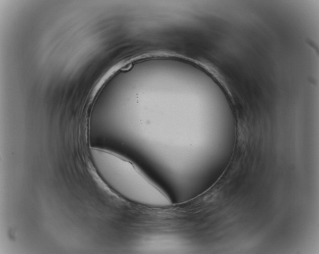 X0000103440911200809191722