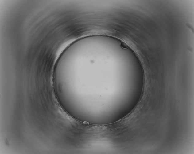 X0000103440912200809191722