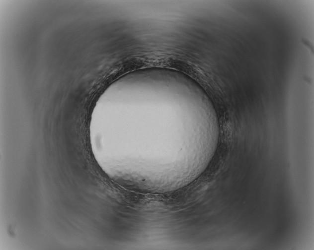X0000103440913200809191721