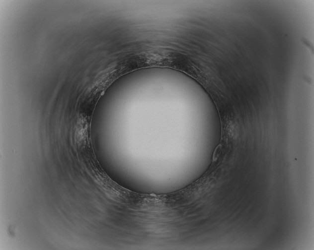 X0000103440914200809191721