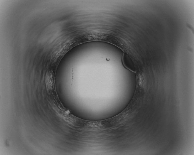 X0000103440915200809191721
