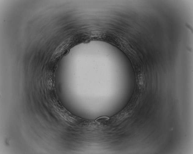 X0000103440916200809191721