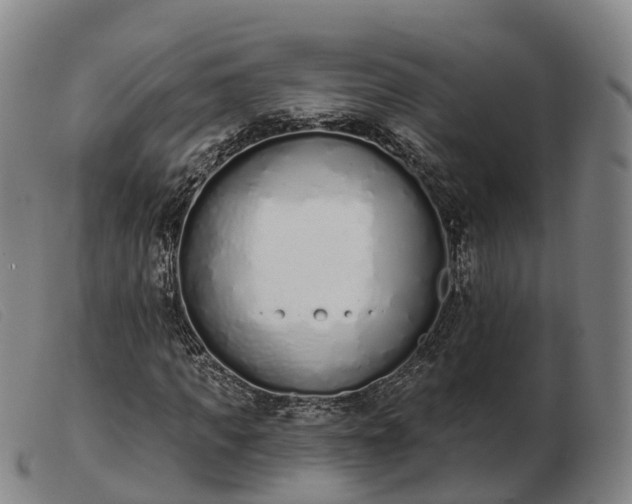 X0000103440917200809191721