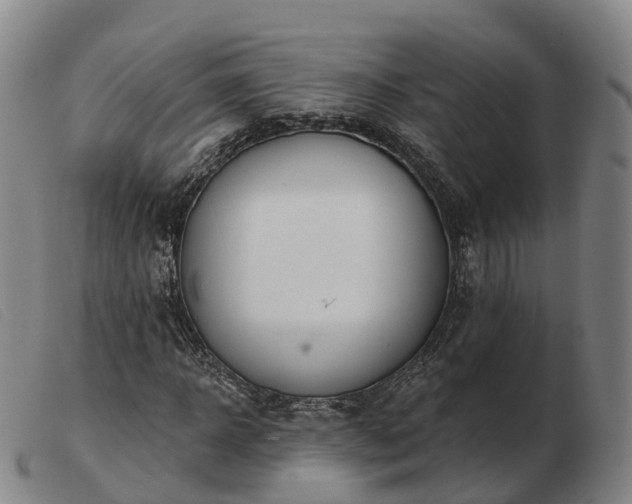 X0000103440918200809191721