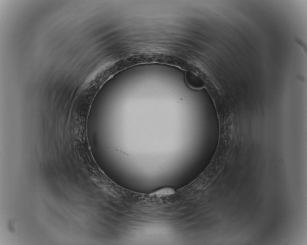 X0000103440919200809191721