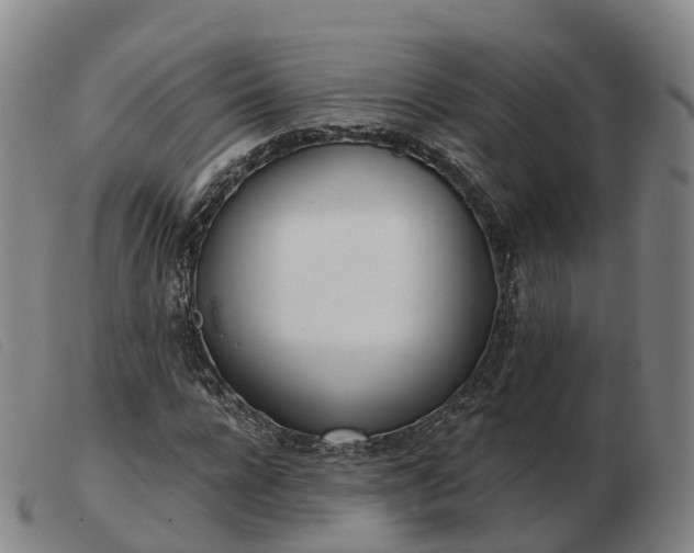 X0000103440920200809191721