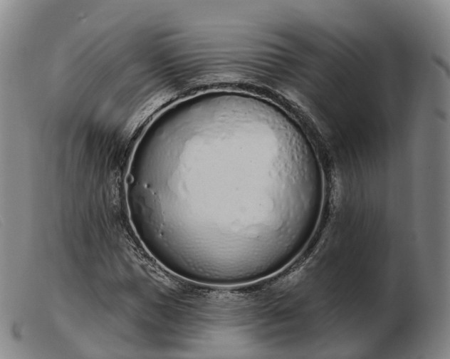 X0000103440921200809191721