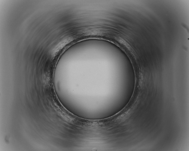 X0000103440922200809191721