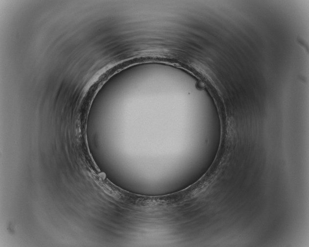 X0000103440923200809191721
