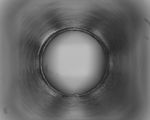 X0000103440924200809191721