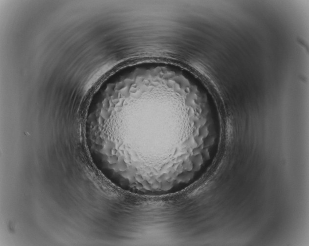 X0000103440925200809191721